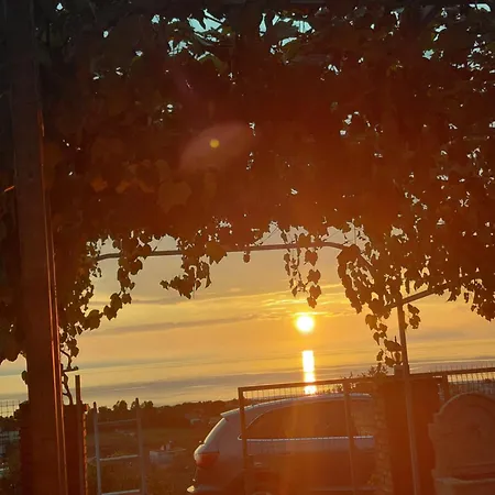 Sol *